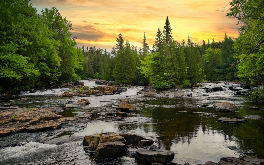 How RTech Helps the Environment